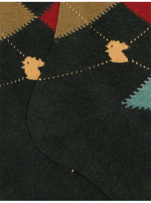 AP51156732737 FANTASIA gallo | AP51156732737 FANTASIA